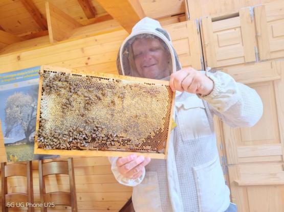 Čebelarsko društvo Dolsko