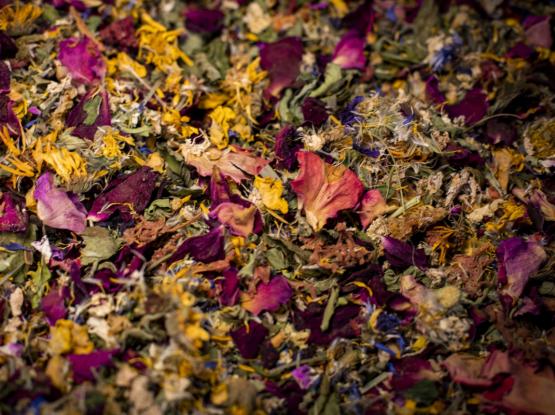 VRT ZDRAVILNIH RASTLIN d.o.o.