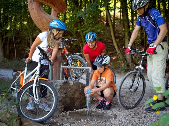 T4: Od bistrega izvira do EKO term