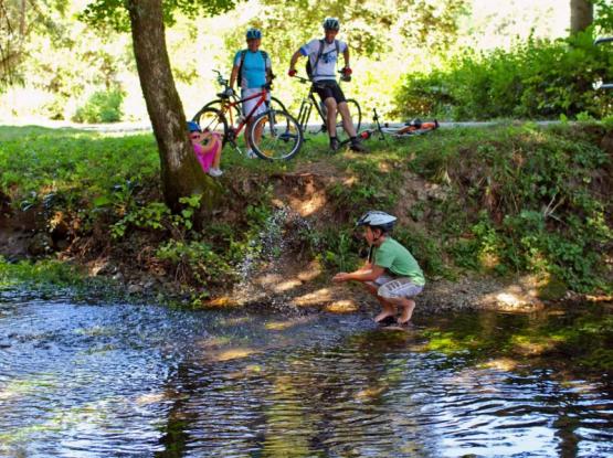 T7: Osvežitev ob Krki