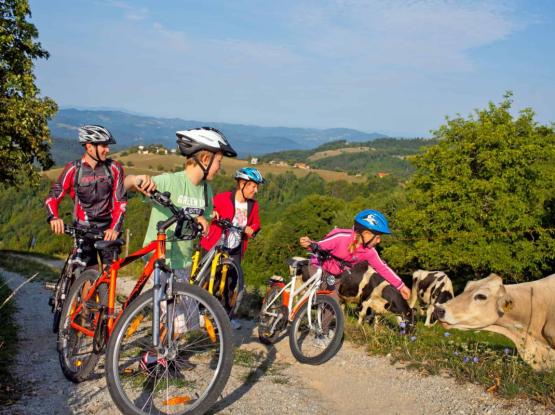 T9: Okusi Posavskega hribovja