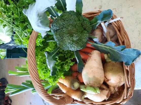 Kmetija Pr' Mežnarju