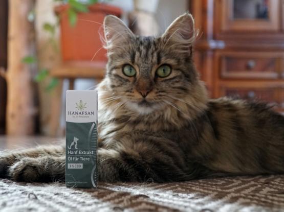 MANDA, Ruždija Ajdarpašić s.p.