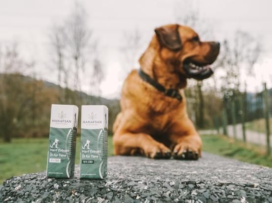 MANDA, Ruždija Ajdarpašić s.p.