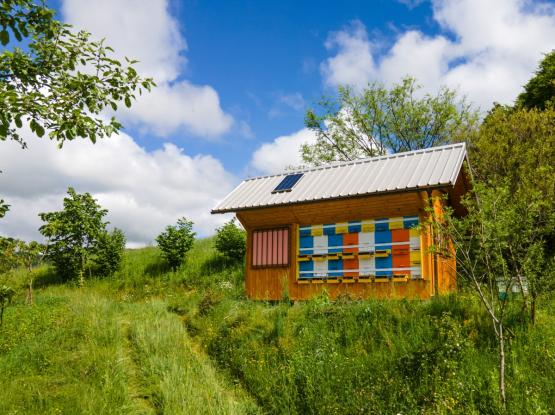 Čebelarsko društvo Dolsko