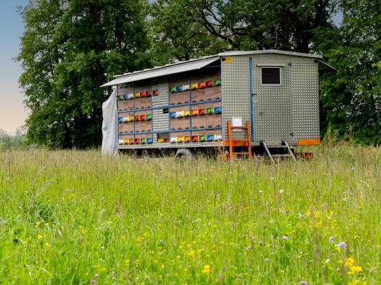 Čebelarsko društvo Dolsko