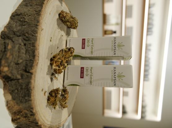 MANDA, Ruždija Ajdarpašić s.p.