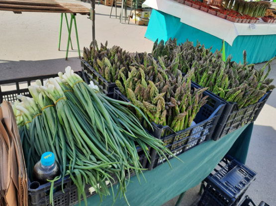 Kmetija Pr' Mežnarju