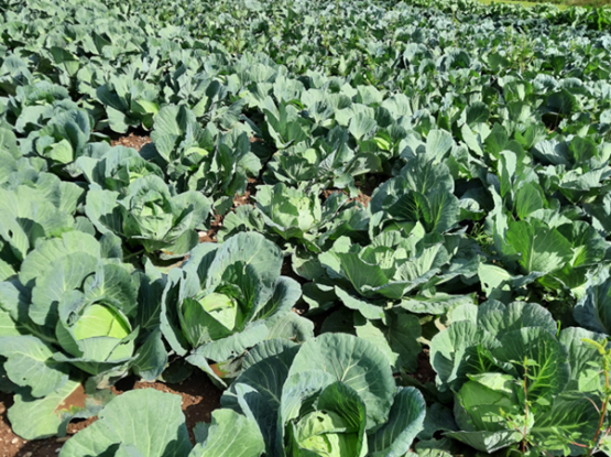 Kmetija Pr' Mežnarju