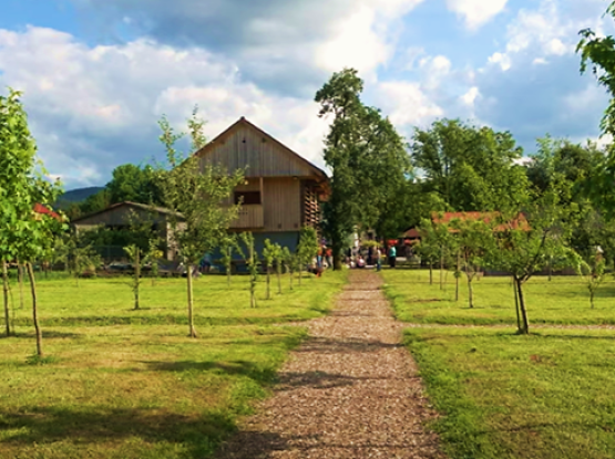 Čebelarsko društvo Dolsko