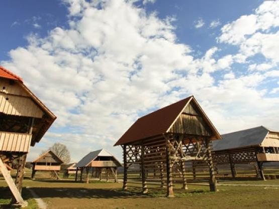 C4: V deželo kozolcev