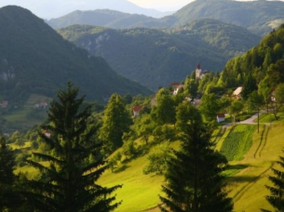 T9: Okusi Posavskega hribovja