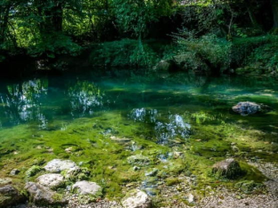 T7: Osvežitev ob Krki