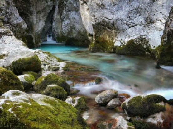 C1: Od izvira do izvira