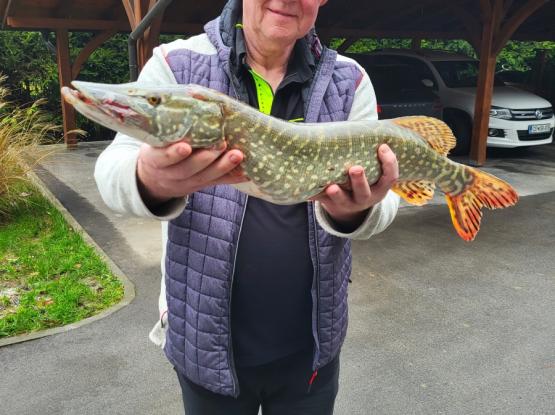 IVI BAR IN IVANKINE DOBROTE