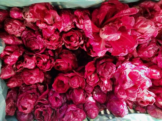 Kmetija Pr' Mežnarju