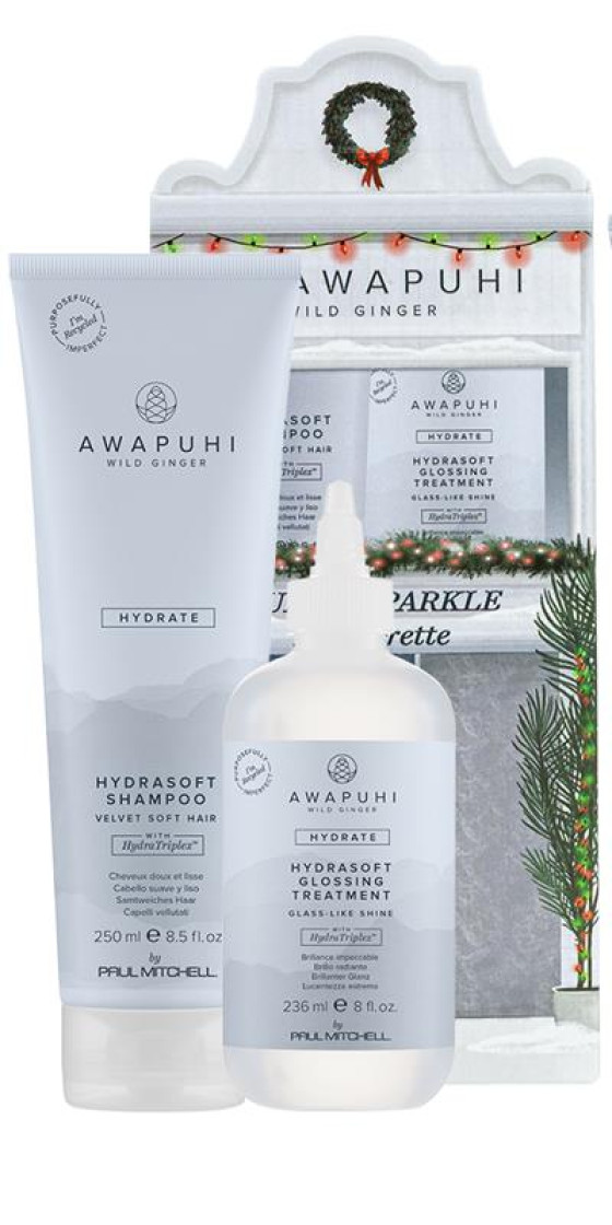 Komplet izdelkov za žametno mehke in sijoče lase  