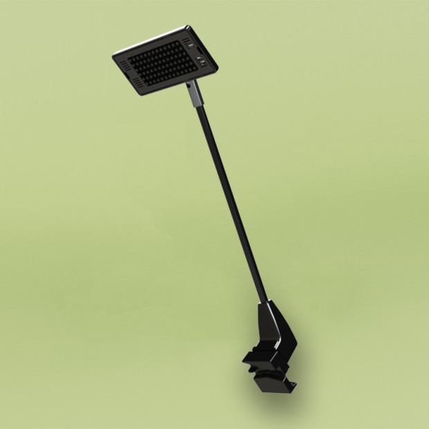 Dragon 2 Lamp