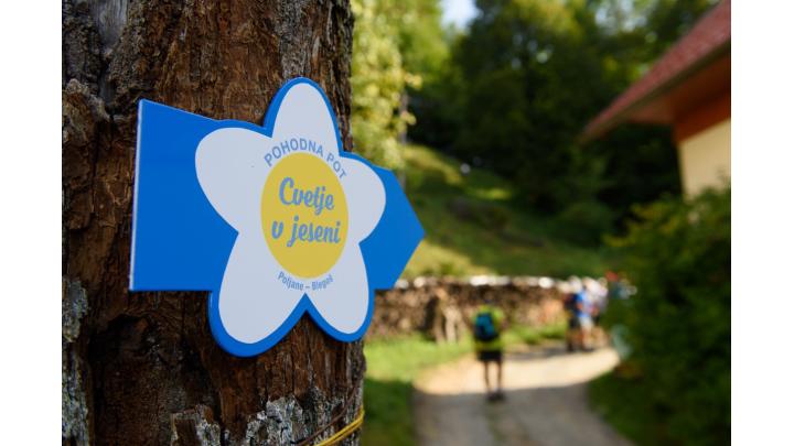 Pohodna pot Cvetje v jeseni. Foto: Denis Bozovičar
