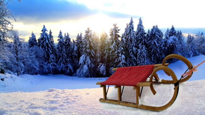 Sanke. Foto: Lucija Kavčič