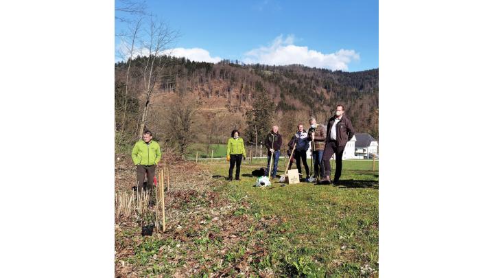 Udeleženci sadnje dreves na Visokem. Foto: Jera Miklavčič