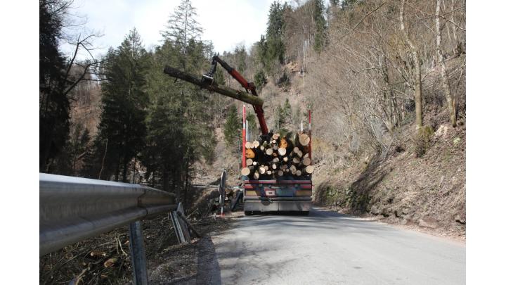 Sanacija zidov in brižin na odseku državne ceste od Trebije do Hobovš. Foto: Gorazd Kavčič