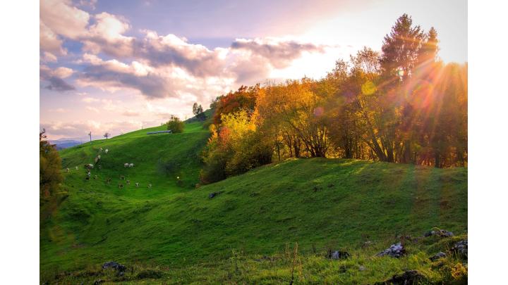 Slajka. Foto: Uroš Gantar