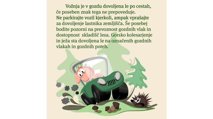 Vožnja je v gozdu dovoljena le po cestah. Foto: arhiv Zavoda za gozdove Slovenije