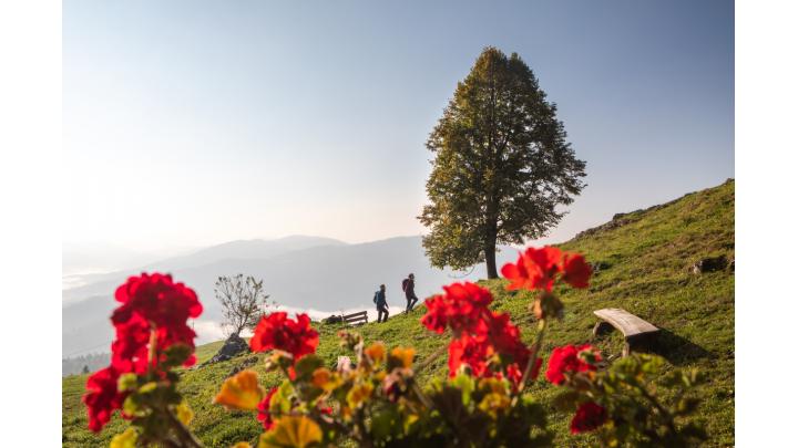Foto: Jošt Gantar
