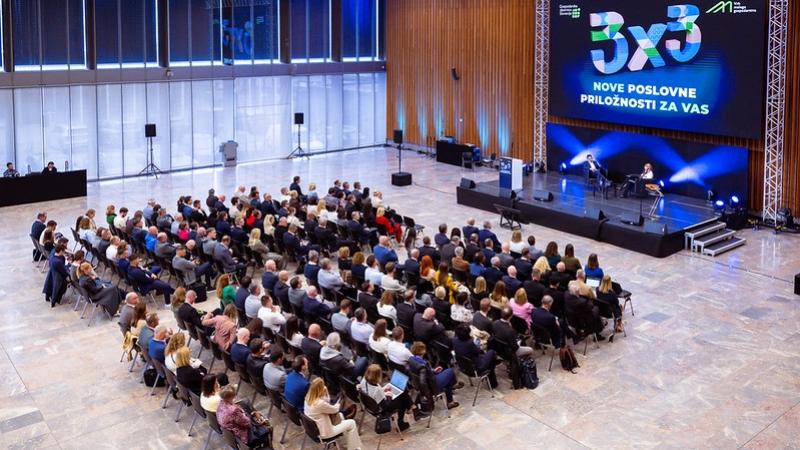 Elementum na 10. Vrhu malega gospodarstva