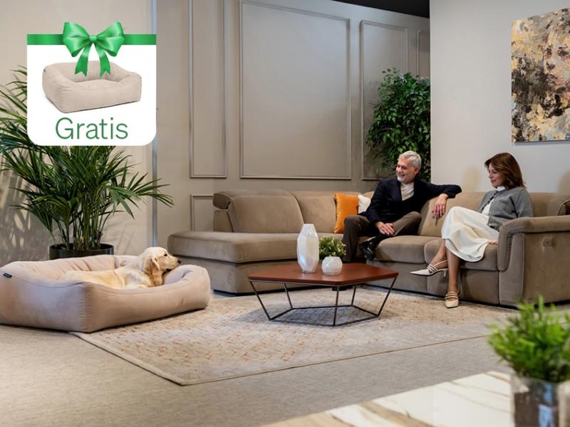 Ležišče za vašega ljubljenčka GRATIS