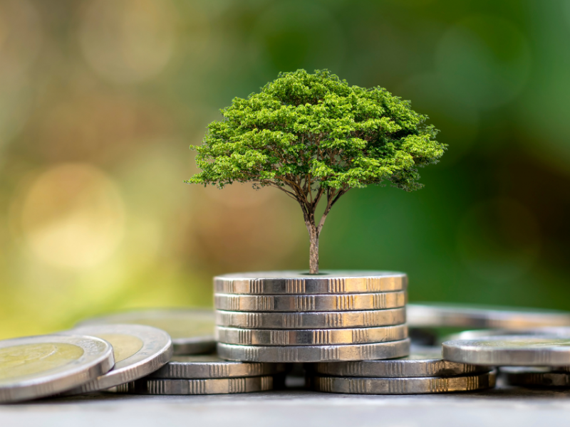 Spodbude za investicije na obmejnih območjih