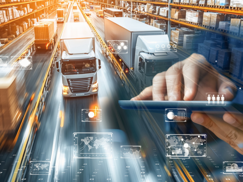 Od kaosa do konkurenčne prednosti