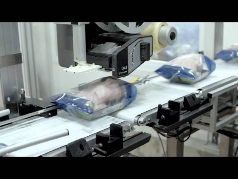 Evolabel Direct Thermal Printer