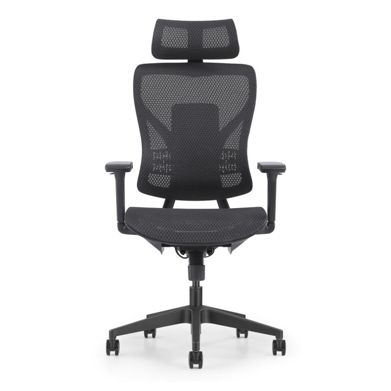 Pisarniški stol ERGOLITE NET