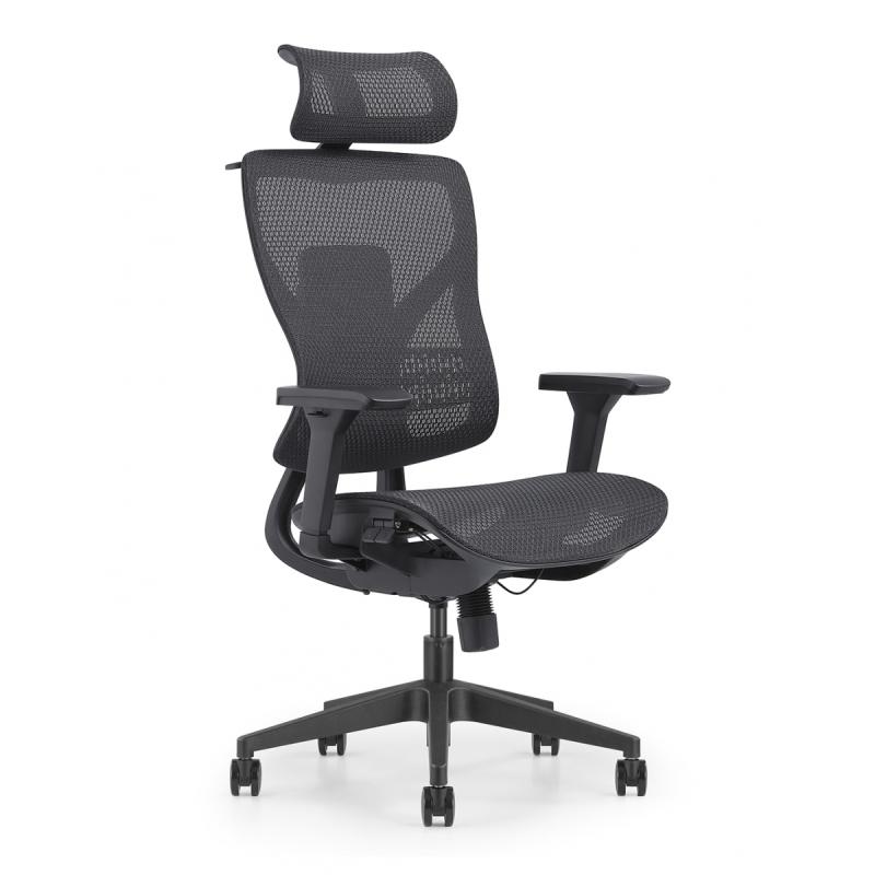 Pisarniški stol ERGOLITE NET