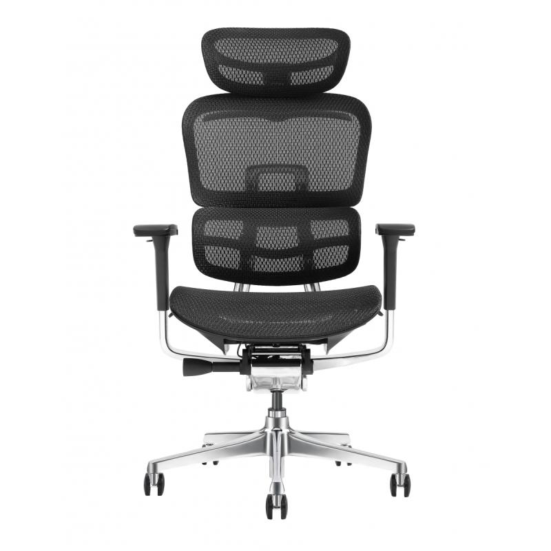 Pisarniški stol ERGOPRO NET AL8