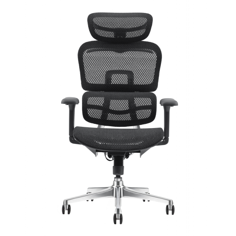 Pisarniški stol ERGOPRO NET AL4