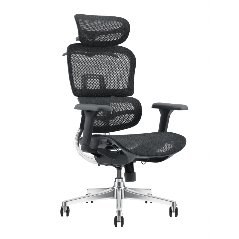 Pisarniški stol ERGOPRO NET AL4