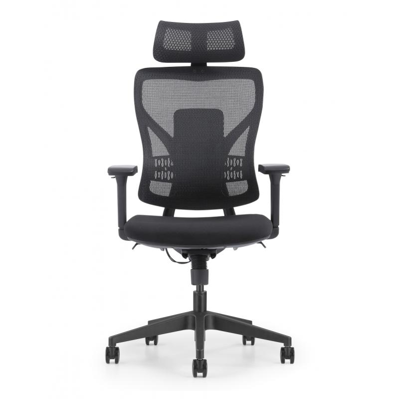 Pisarniški stol ERGOLITE