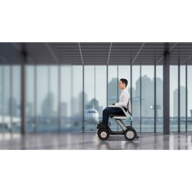 Robint Walking-Aid Robot