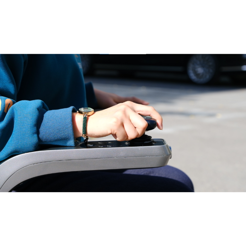 Robint Walking-Aid Robot