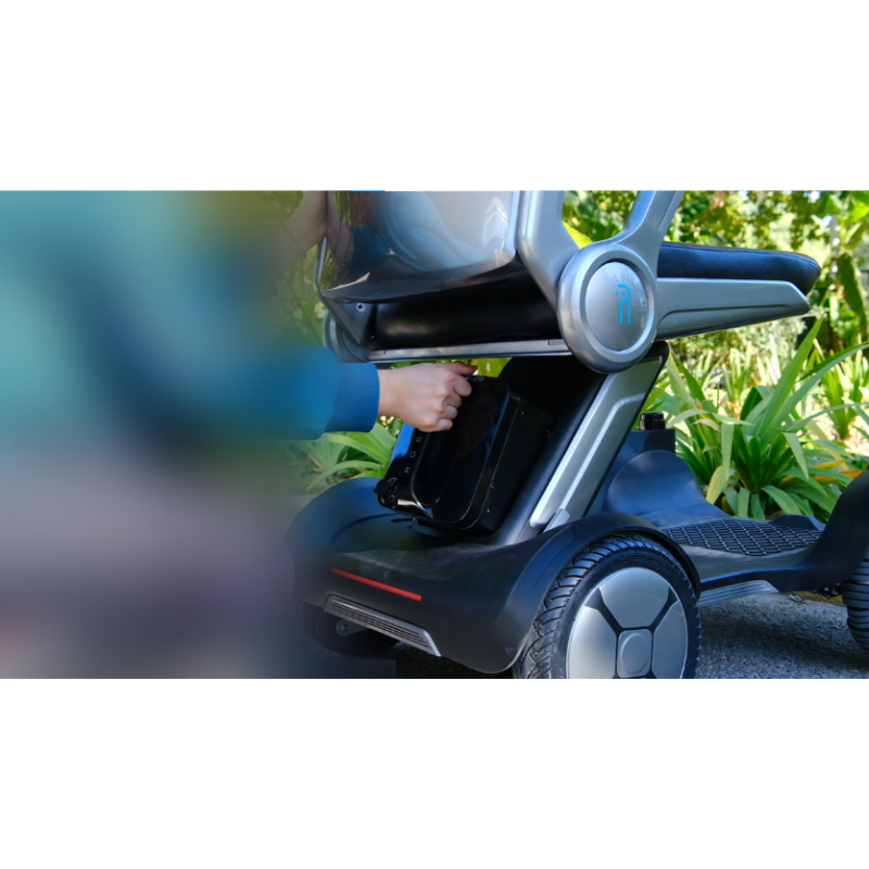 Robint Walking-Aid Robot