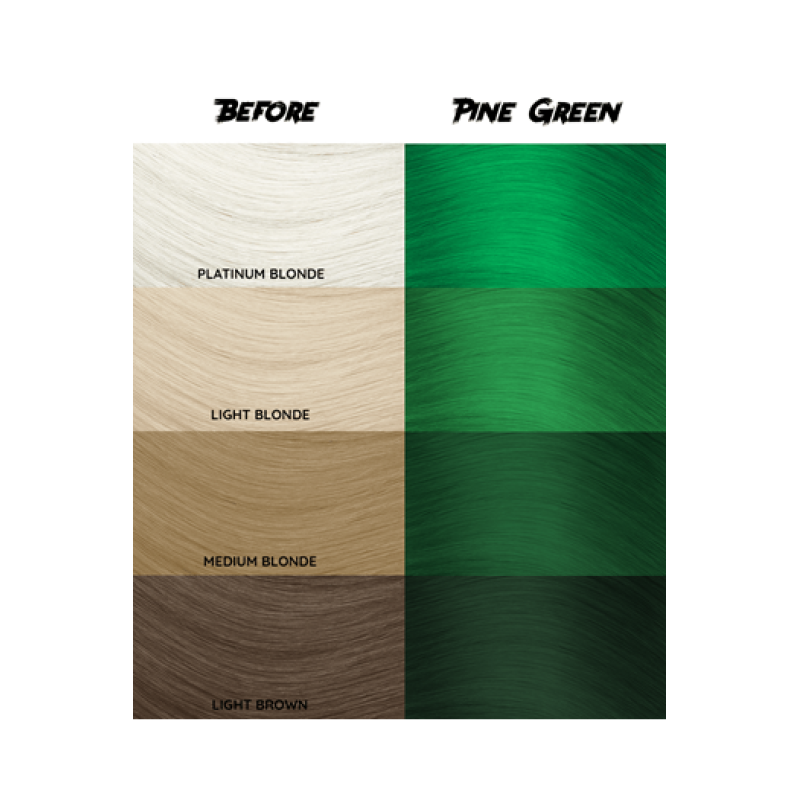 barva CC 46 - Pine green