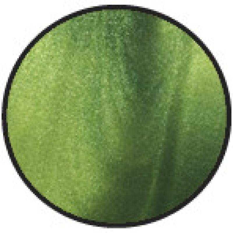 vosek CPM tekoč - Aloe vera