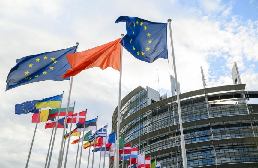 Vir: Evropski parlament 2024