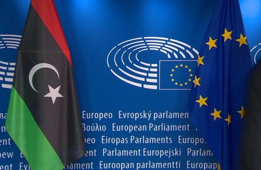 Vir: Evropski parlament 2020