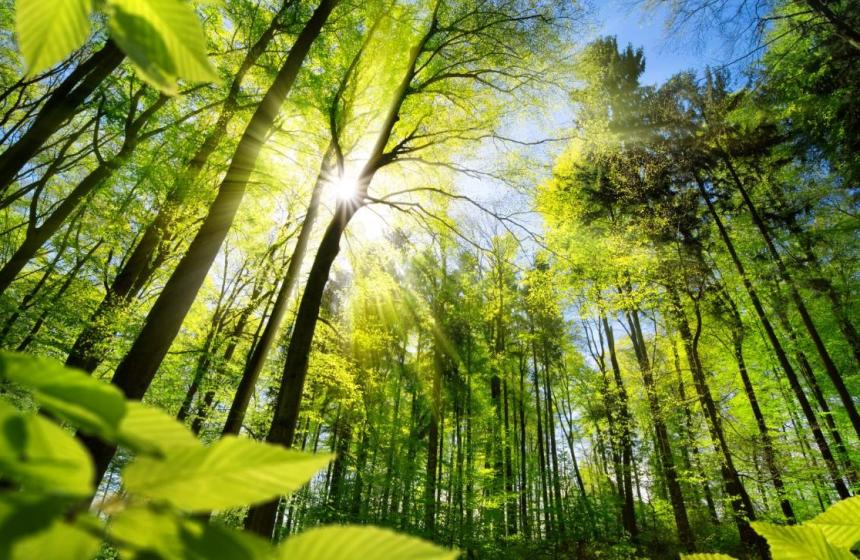 Vir: @Evropski parlament 2022 