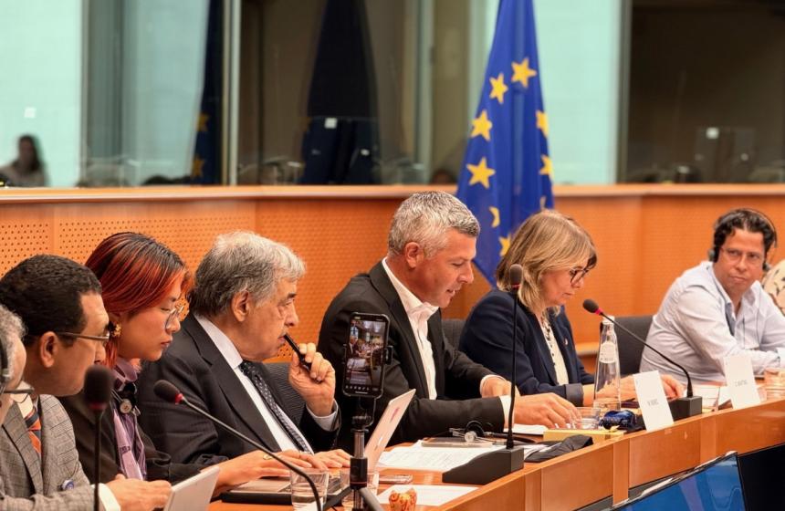 Vir: Pisarna poslanca v EP Matjaža Nemca 2025