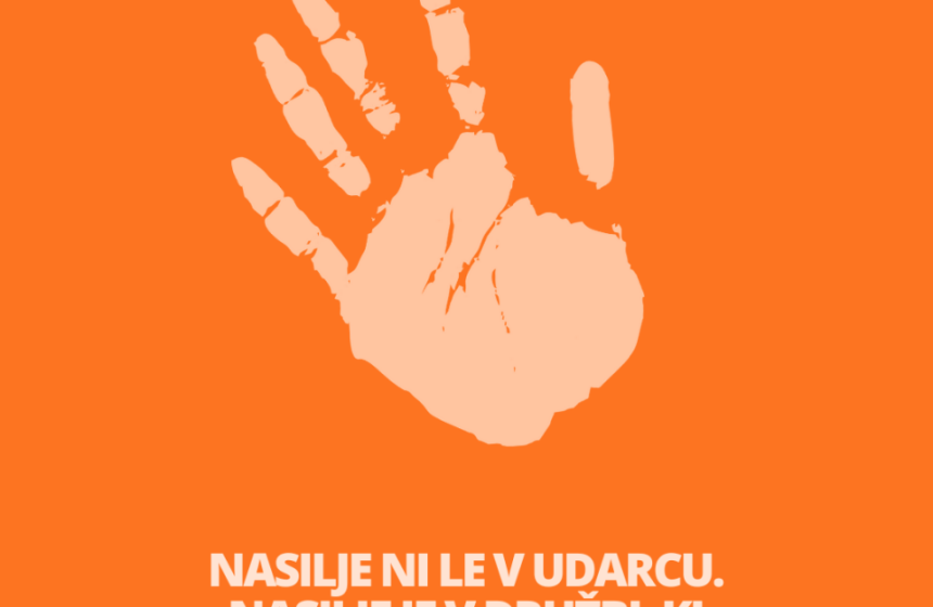 Vir: Pisarna evropskega poslanca 2025